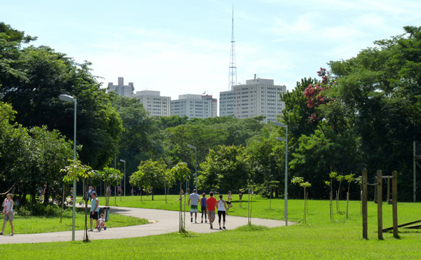 parque villa-lobos passeio na grama