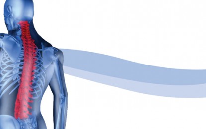 Saiba mais sobre a coluna vertebral