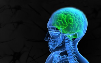 Conheça mais sobre a neurocirurgia