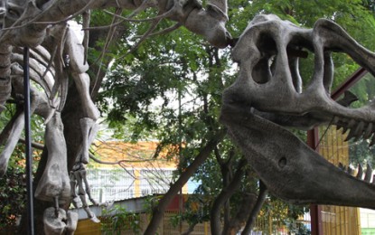 Estação Ciência e a divulgação científica de forma interativa