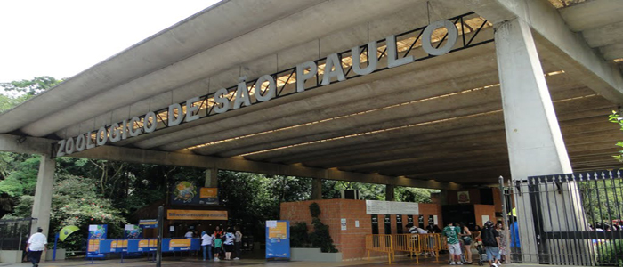 Zoológico de São Paulo promove a inclusão social