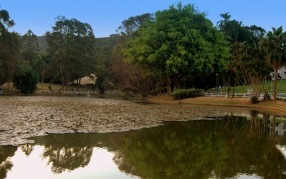 Horto Florestal oferece atividades educativas