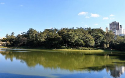 Parque da Aclimação oferece diversas opções de entretenimento