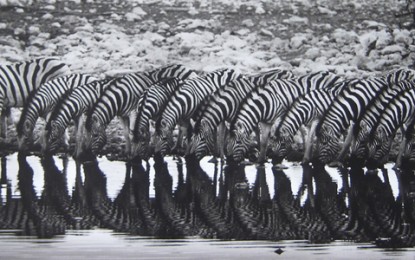 Genesis, o mundo intocado de Sebastião Salgado