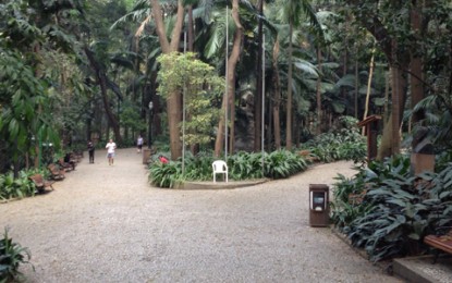 Parque Trianon: refúgio em plena Avenida Paulista