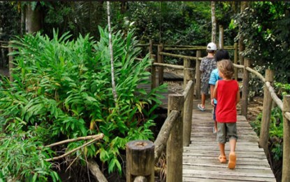 Itamambuca Eco Resort, um hotel de praia no meio da floresta