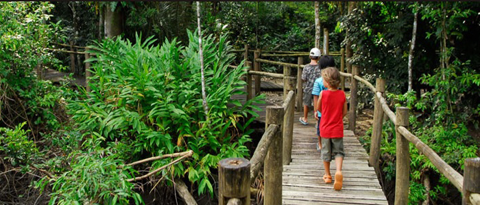 Itamambuca Eco Resort, um hotel de praia no meio da floresta