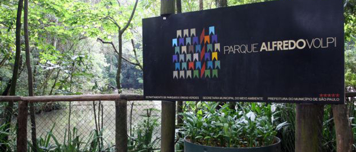 Parque Alfredo Volpi: prática de esportes e lazer em meio a natureza