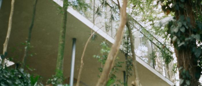 Casa de Vidro: a primeira obra construída de Lina Bo Bardi