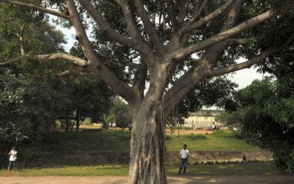 Parque da Juventude oferece esporte e lazer na Zona Norte