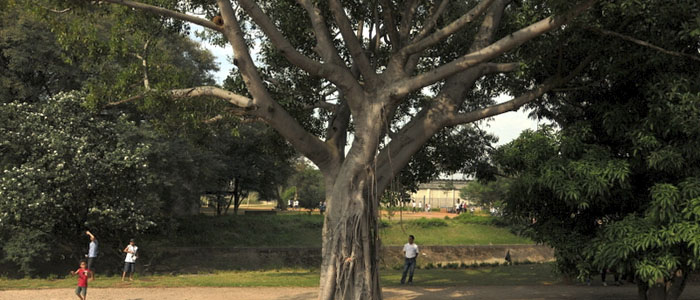 Parque da Juventude oferece esporte e lazer na Zona Norte