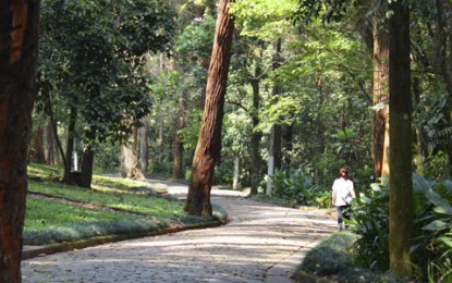 Parque do Guarapiranga protege a produção hídrica na Zona Sul