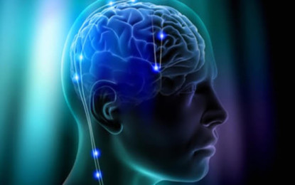 Estimulação cerebral profunda pode retardar o Alzheimer