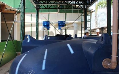 Empresa fabrica cisterna que armazena e aproveita água da chuva em SP