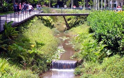 Rios de São Paulo são revitalizados por iniciativas independentes