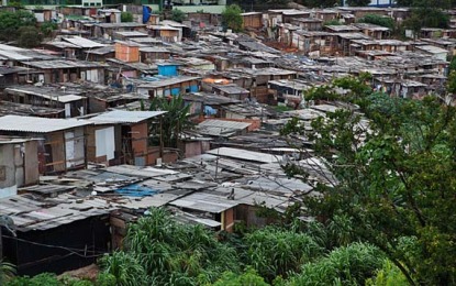 Terrenos não ocupados viram parques invadidos por sem-teto