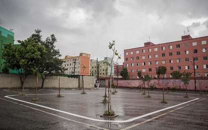 Prefeitura estuda plantar árvores para dividir vagas de estacionamento