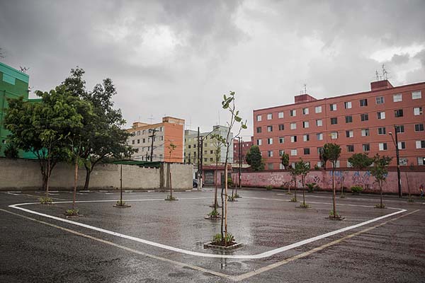 prefeitura testa árvores para dividir vagas de estacionamento