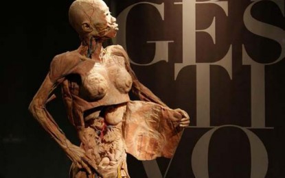 Mostra O Fantástico Corpo Humano