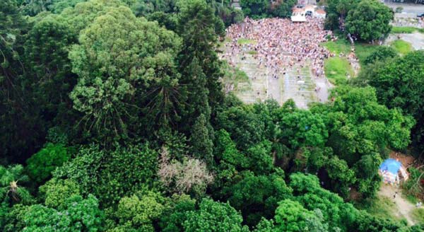 organismo parque augusta durante ocupação do local adquirido pela prefeitura