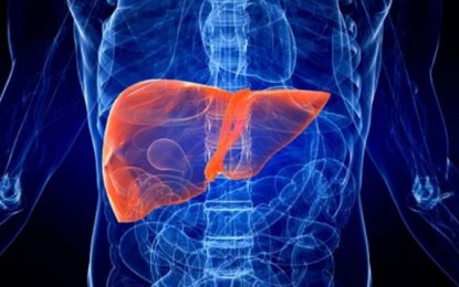 Internação por cirrose alcoólica em São Paulo chega a sete por dia