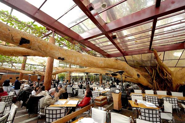 unidade haddock lobo do restaurante figueira rubaiyat