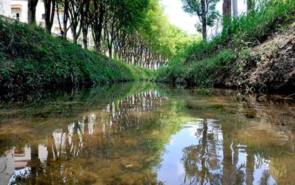 Programa Córrego Limpo ajuda na despoluição do Tietê