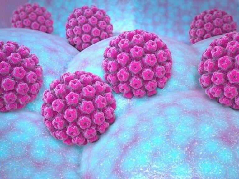 O que é HPV Papilomavírus Humano?