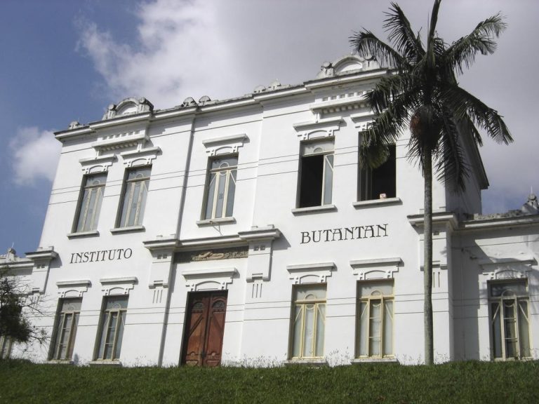 Instituto Butantan: conheça a área de visitação do centro de pesquisa