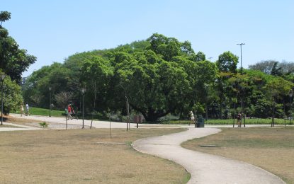 Parque do povo: local para a terceira idade aproveitar o melhor da vida