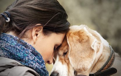 Babá para pets: serviço é ótima opção para os cuidados dos bichinhos