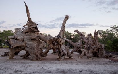 Exposição Raiz no Parque Ibirapuera já começou, visite