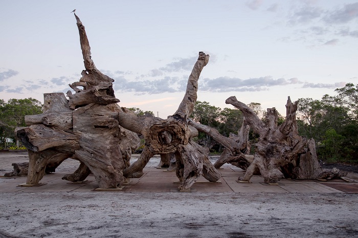 Exposição Raiz no Parque Ibirapuera já começou, visite