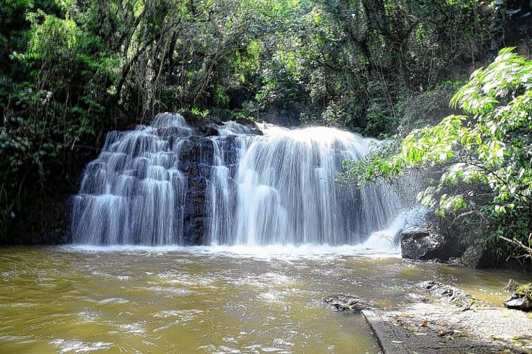Passeio na Serra do Japi com visitação a produtor de queijos artesanais