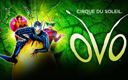 Espetáculo OVO do Cirque du Soleil chega a São Paulo